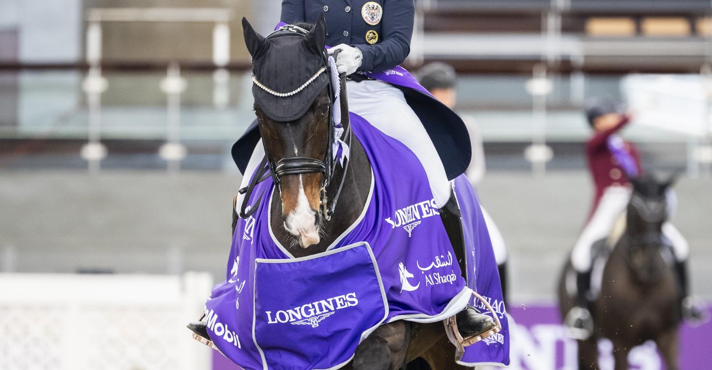 Dahoud_Porsche-Diana_Al-Shaqab_cLukaszKowalski (2)