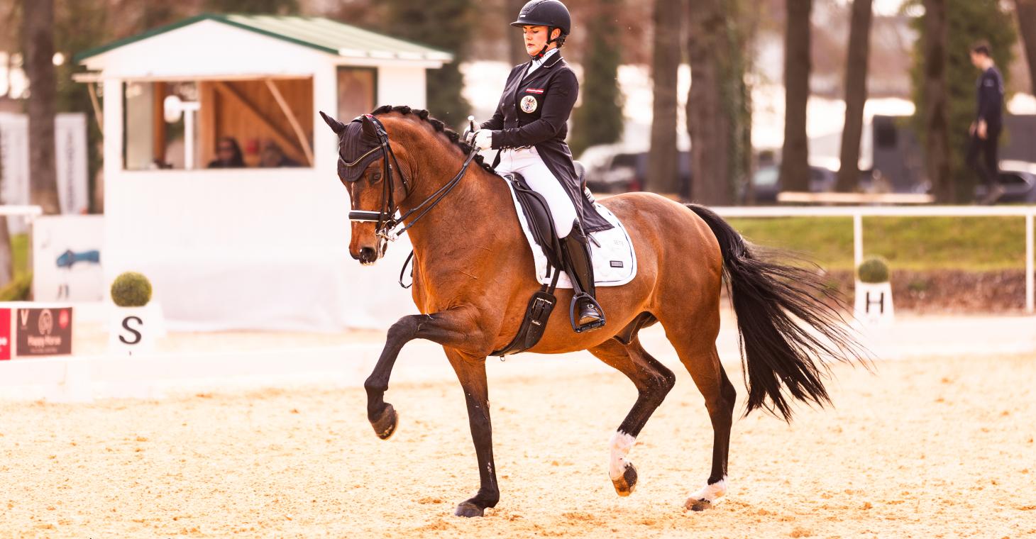 Kentucky_Porsche-Diana_cAliceBenes