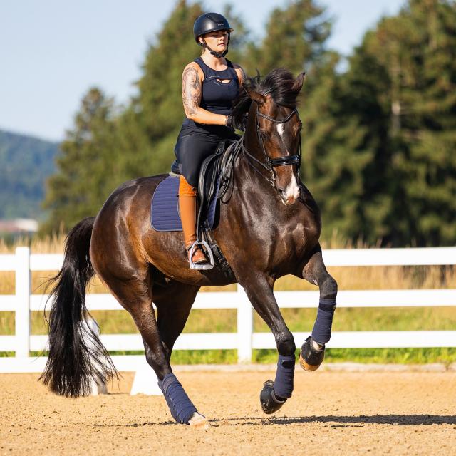 Dahoud_Porsche-Diana_Gut-Tannbrunn_cAliceBenes Dahoud_Porsche-Diana_Gut-Tannbrunn_cAliceBenes